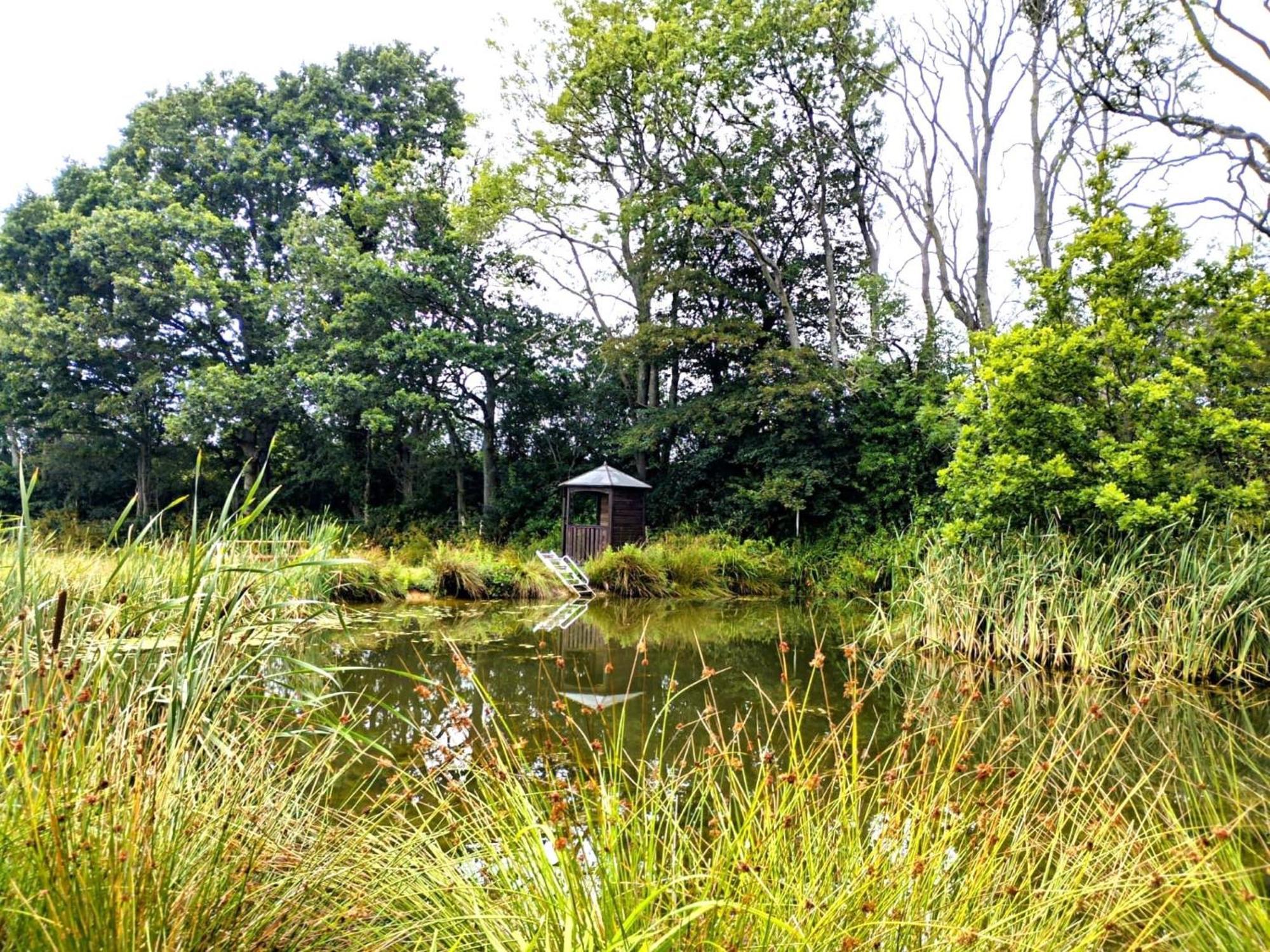 Snug & Secluded Lakeside Shepherds Hut 'Carp' Uckfield Exterior foto