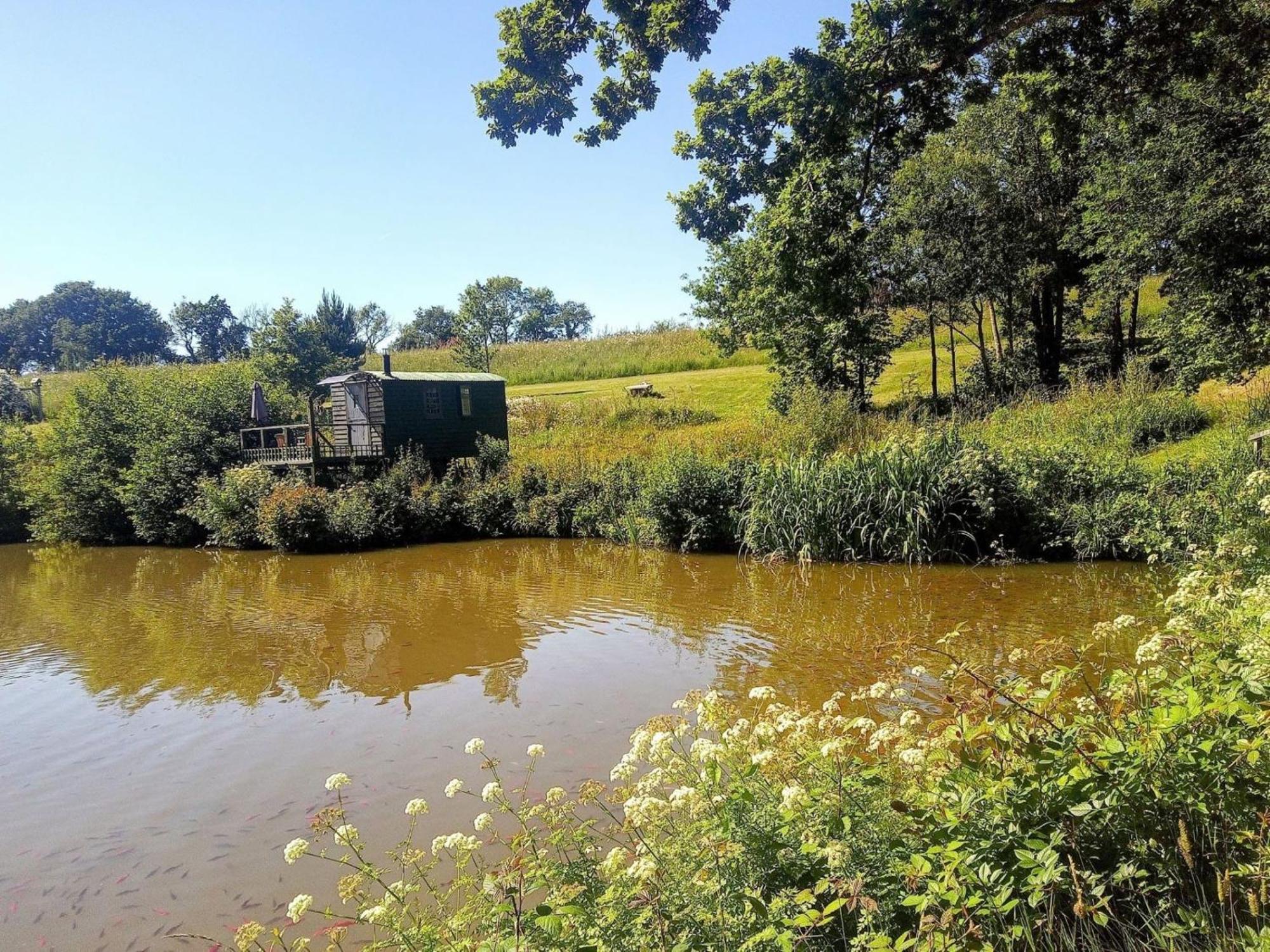 Snug & Secluded Lakeside Shepherds Hut 'Carp' Uckfield Exterior foto